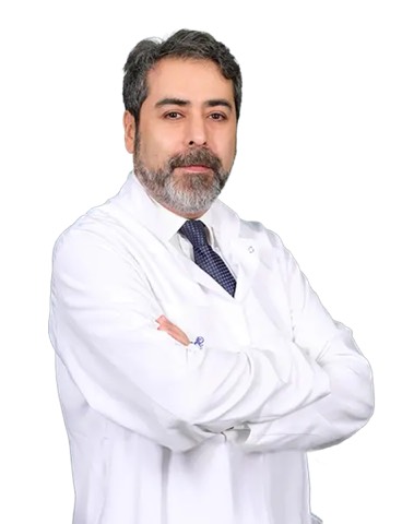 Ahmet Koç