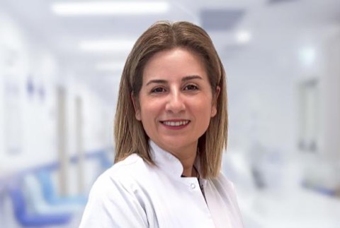 Assistant Professor Meral Uluköylü Mengüç