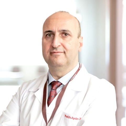 Aydın İnan