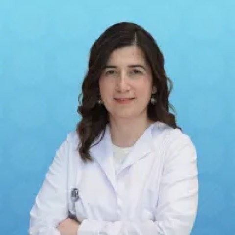 Ayşegül Akdoğan Gemici