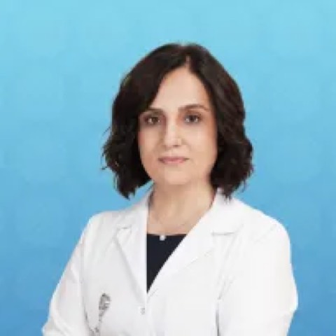 Ayşegül Cansu
