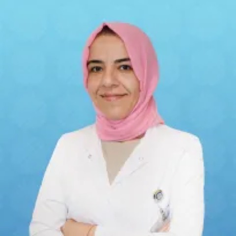 Aysun Yakut