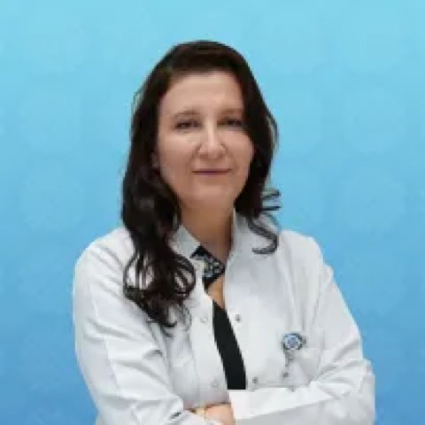 Dilvin Çelik Ateş