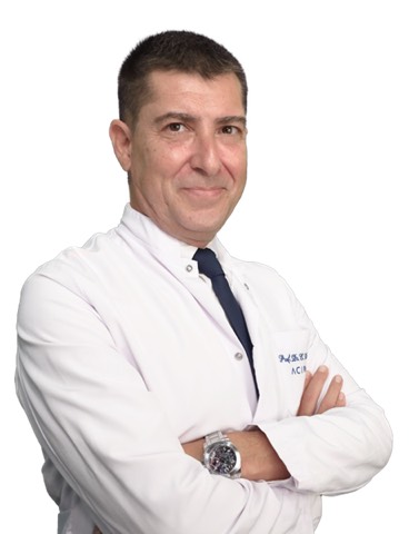 E. Levent Elemen