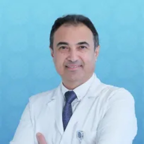 Elşen Mehmetoğlu