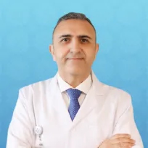 Engin Evci