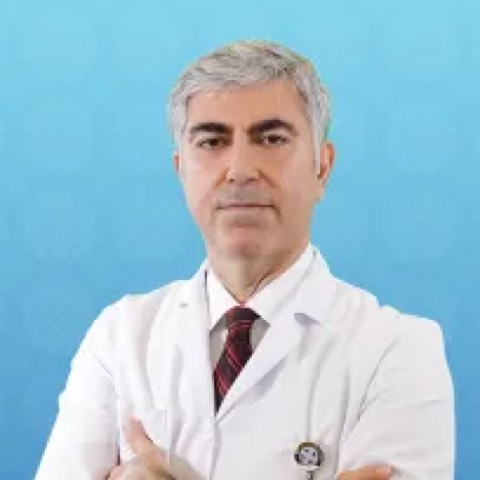 Erol Akgül