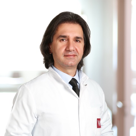 Hakan Levent Gül