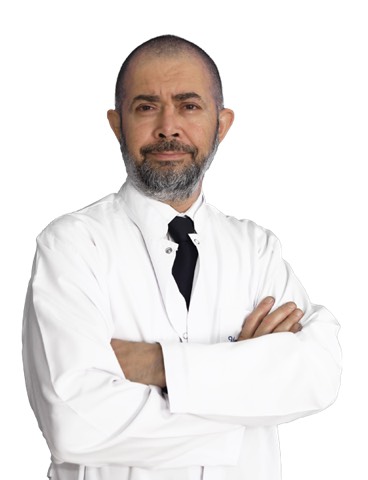 Hikmet Toy