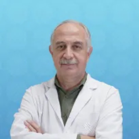 Ismet Orkan