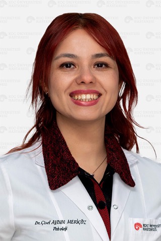 M. Çisel Aydın Meriçöz