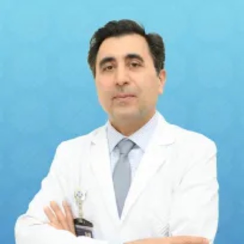 Mahmoud Babaeı