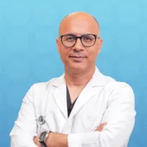 Mehmet Ali Gök