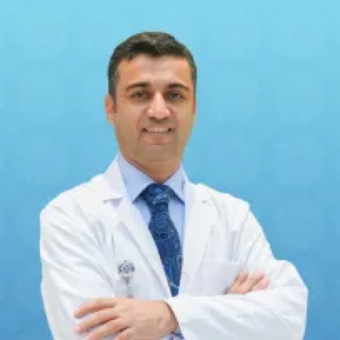 Mehmet Mehdi Deniz