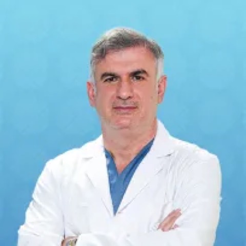 Mehmet Şerif Arslan