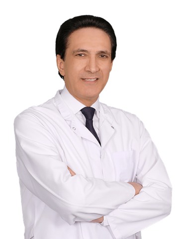 Mesut Fatih