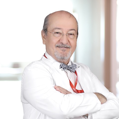 Mesut Koca