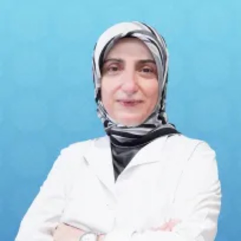 Müberra Tigin