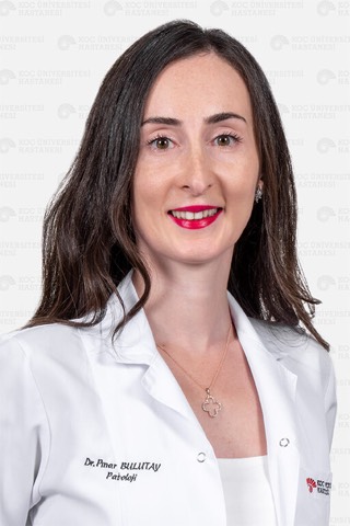 Pınar Bulutay
