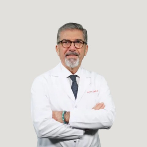 Osman Şevki Arslan