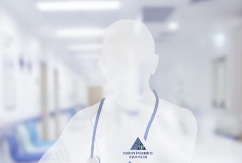 Research Assistant Hande Aksoy